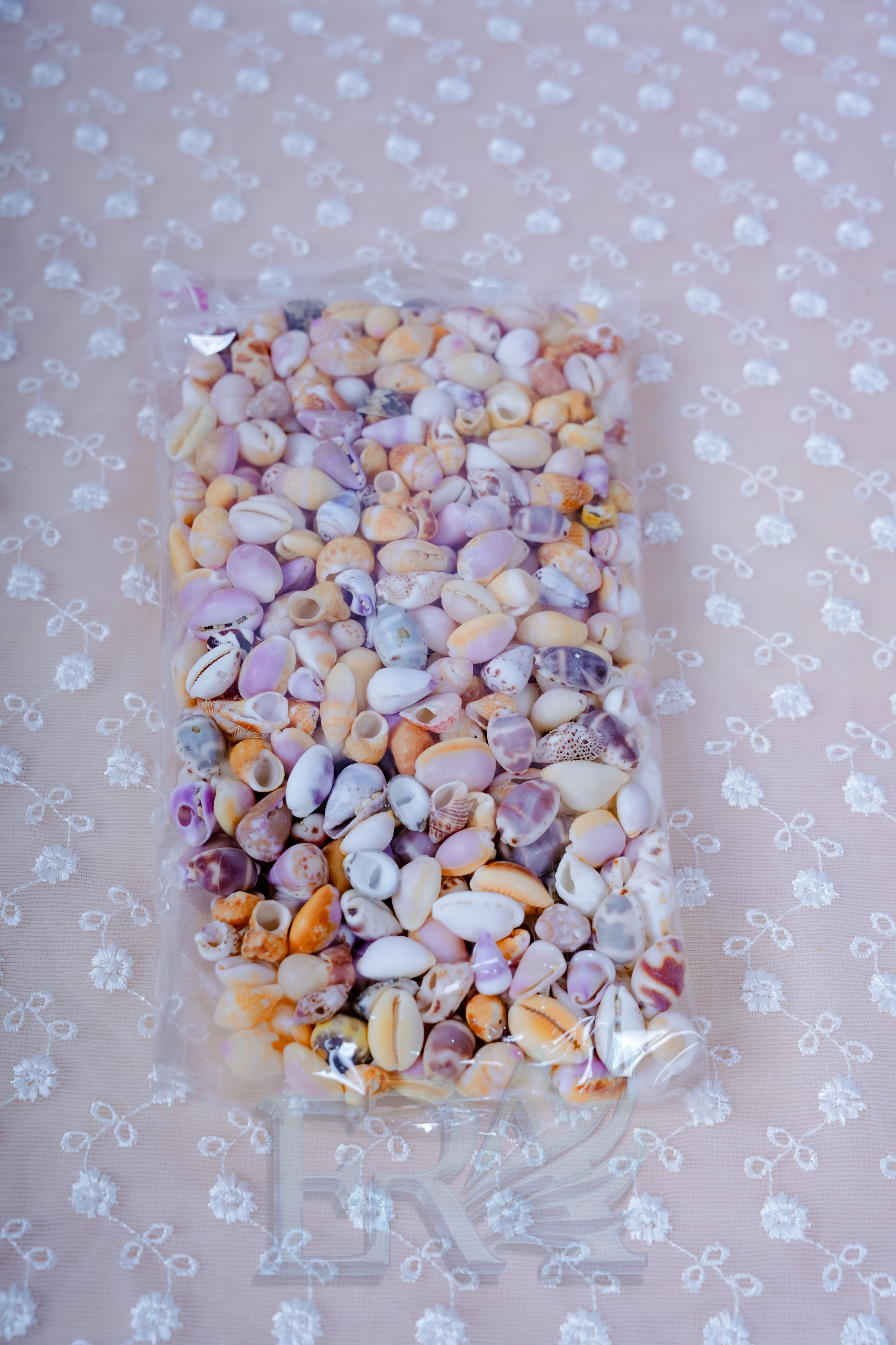 Vỏ Ốc Lộn Xộn 100g